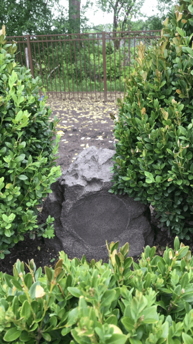 niles rock speaker