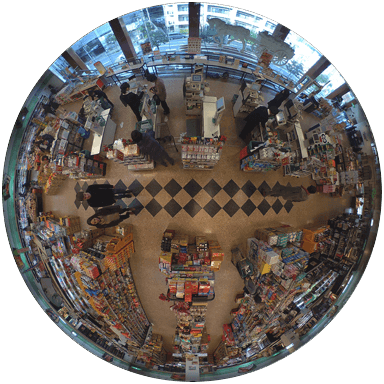 Fisheye Camera View